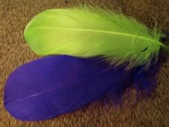 Nature's Spirit Feathers & Marabou Select Goose Shoulder Feathers