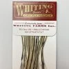 Whiting 100 Pack Dry Fly Hackle - Silver Badger - 14