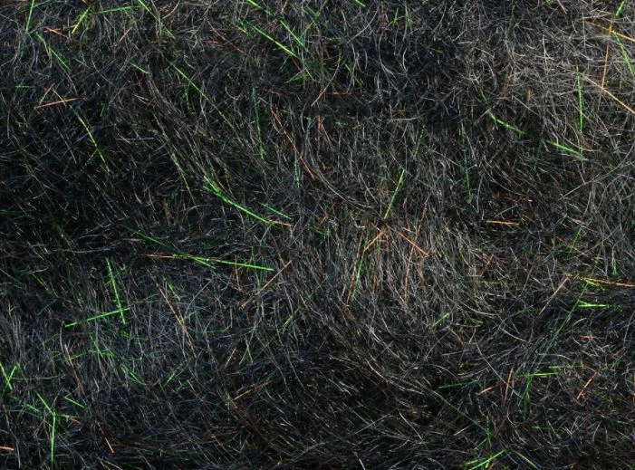 Rohmer Dubbing Arizona Simi Seal 34 Rohmer Dubbing Arizona Simi Seal