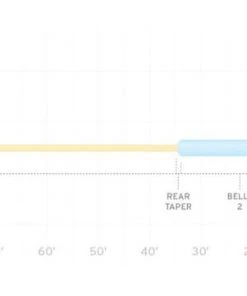 Scientific Anglers Fly Lines Scientific Angler Sonar Titan Jungle Clear Tip Fly Line