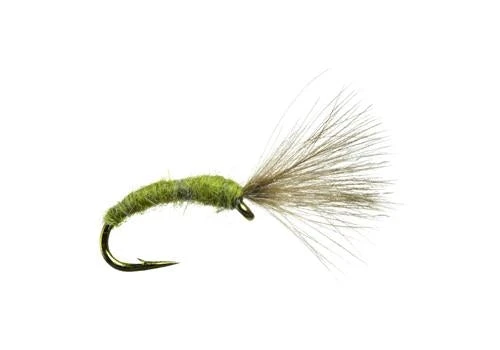 Umpqua Craven's Mole Fly - Olive 3 Umpqua Craven's Mole Fly - Olive
