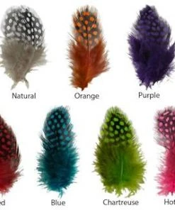Hareline UV2 Large Eyed Guinea Feathers & Marabou