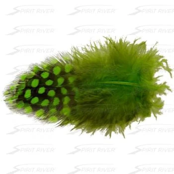 Hareline UV2 Large Eyed Guinea Feathers & Marabou 4 Hareline UV2 Large Eyed Guinea Feathers & Marabou