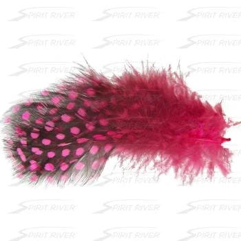 Hareline UV2 Large Eyed Guinea Feathers & Marabou 5 Hareline UV2 Large Eyed Guinea Feathers & Marabou
