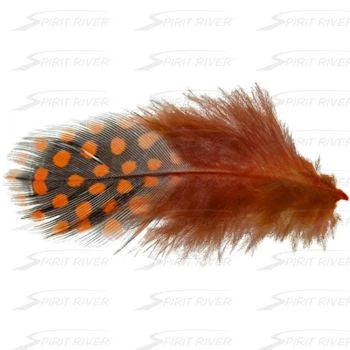 Hareline UV2 Large Eyed Guinea Feathers & Marabou 6 Hareline UV2 Large Eyed Guinea Feathers & Marabou