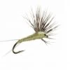 Umpqua Shop Flies Comparadun - PMD