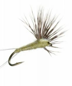 Umpqua Shop Flies Comparadun - PMD