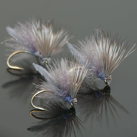 Fly Fish Food shop -Fly Fish Food shop 8ujovwk3yqza1